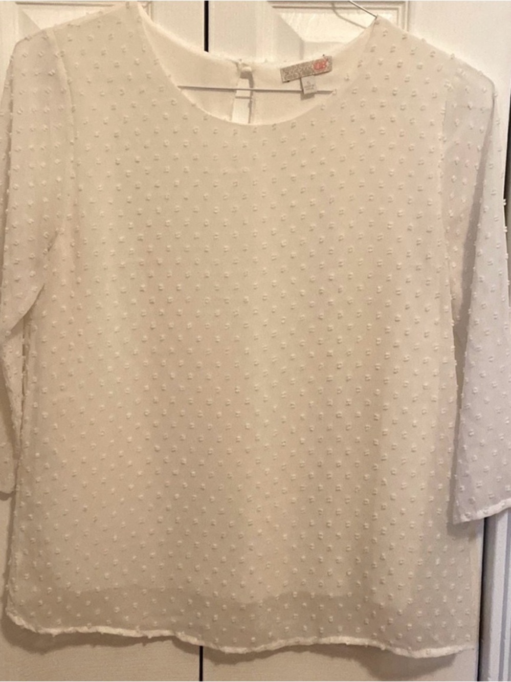 GB white Swiss dot blouse